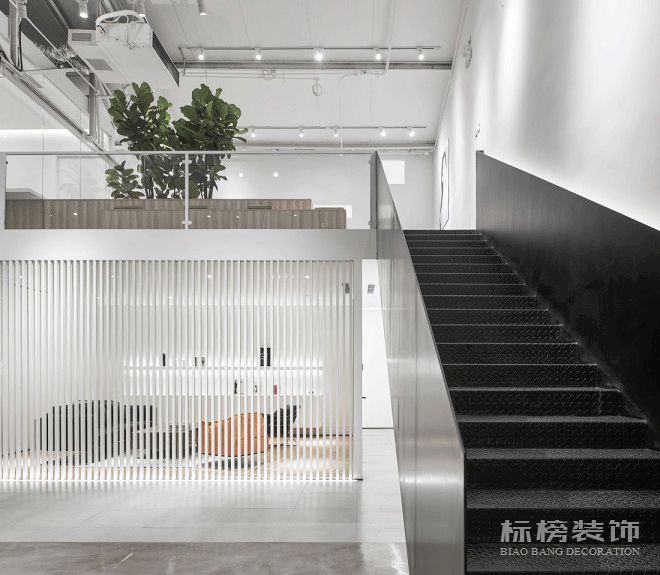 办公室植物摆放植物有哪些，怎么摆放比较好？